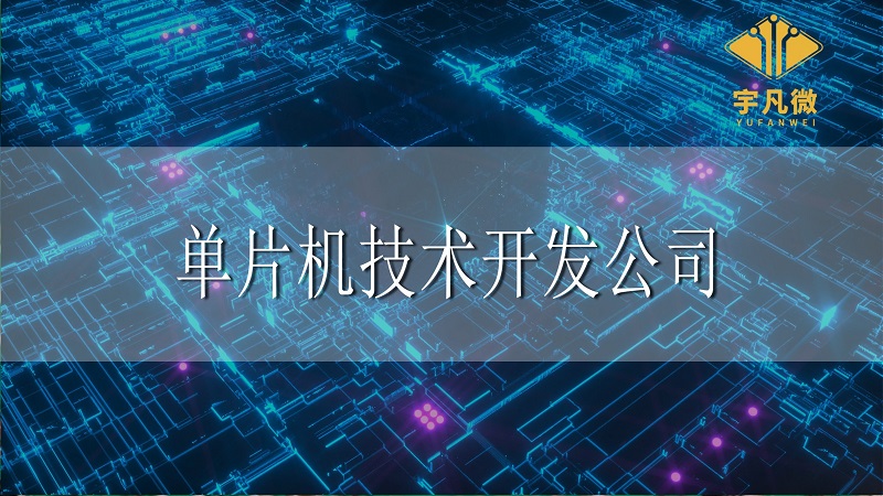 單片機(jī)技術(shù)開(kāi)發(fā)公司和生產(chǎn)商的區(qū)別
